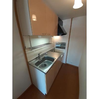アルバ・美合 305【管理NO：1-013813501-03040】 ★家具家電は申し込み後に搬入しますの物件写真3