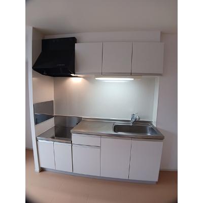プリムラⅡ 203【管理NO：1-019255901-02030】 ★家具家電は申し込み後に搬入しますの物件写真3