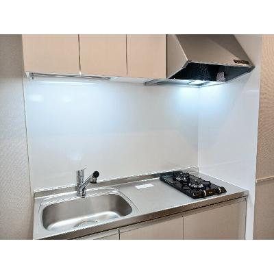 エクセルシオールⅡ 103【管理NO：1-027860401-01030】 ★家具家電は申し込み後に搬入しますの物件写真3