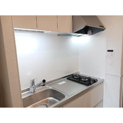 エクセルシオールⅡ 101【管理NO：1-027860401-01010】 ★家具家電は申し込み後に搬入しますの物件写真3