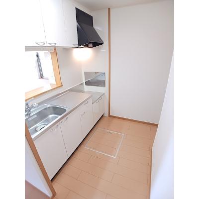 Ｐｉｓｏ　小本 103【管理NO：1-015300101-01030】 ★家具家電は申し込み後に搬入します★の物件写真3