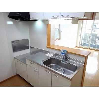 アベリア 105【管理NO：1-015159301-01040】 ★家具家電は申し込み後に搬入しますの物件写真3