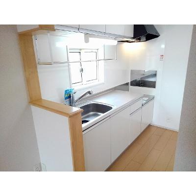 アンジュ　Ⅱ 203【管理NO：1-014969201-02030】 ★家具家電は申し込み後に搬入しますの物件写真3