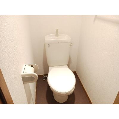 Ｐｕｌｉｔｏ 203【管理NO：1-012739001-02030】 ★家具家電は申し込み後に搬入します★の物件写真5