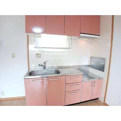 アンフィニ 201【管理NO：1-012671901-02010】 ★家具家電は申し込み後に搬入します★の物件写真3