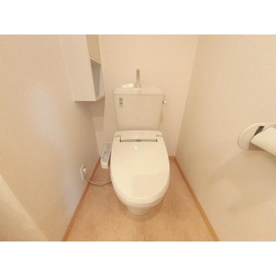 Ｓａｋｕｒａ　ビベンテ 802【管理NO：1-016379901-08010】 ★家具家電は申し込み後に搬入します★の物件写真5