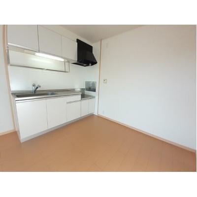 フィガロ 201【管理NO：1-016023001-02010】 ★家具家電は申し込み後に搬入しますの物件写真3