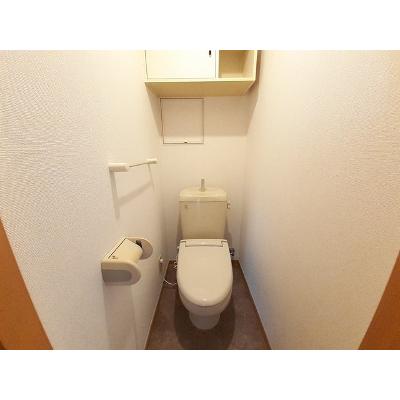 ヴィアーレ 203【管理NO：1-014724401-02030】 ★家具家電は申し込み後に搬入します★の物件写真5