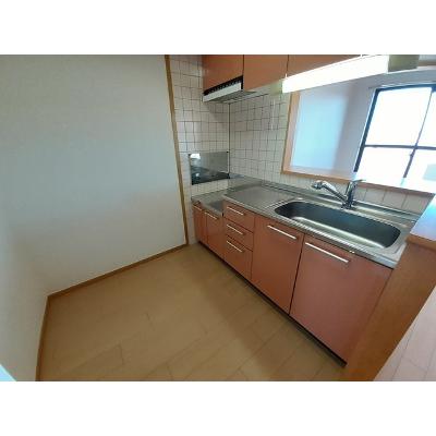 パラッツオ白山 405【管理NO：1-012072201-04040】 ★家具家電は申し込み後に搬入します★の物件写真3