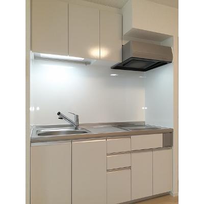 シュライン 103【管理NO：1-027473001-01030】 ★家具家電は申し込み後に搬入しますの物件写真3