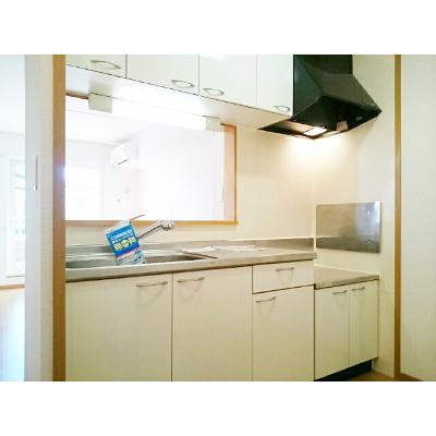 パラッツオⅢ 201【管理NO：1-014295901-02010】 ★家具家電は申し込み後に搬入します★の物件写真3