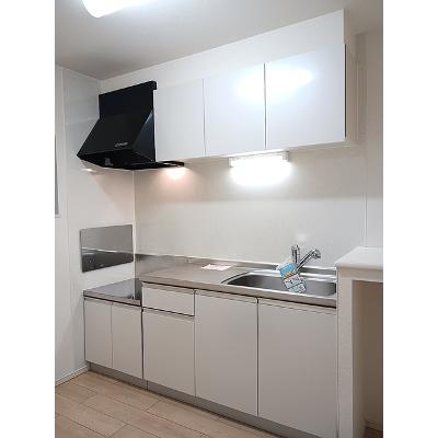 セレノＦ　Ⅱ 203【管理NO：1-021809002-02030】 ★家具家電は申し込み後に搬入します★の物件写真3