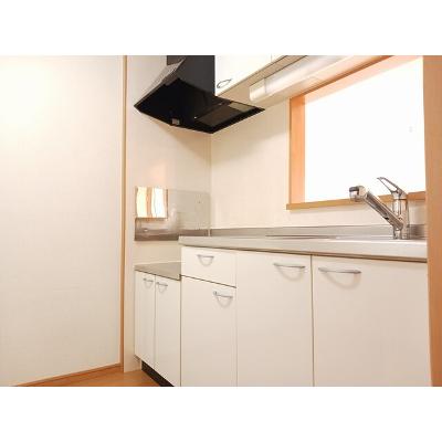 クラシオン　Ⅰ 206【管理NO：1-012905601-02050】 ★家具家電は申し込み後に搬入しますの物件写真3