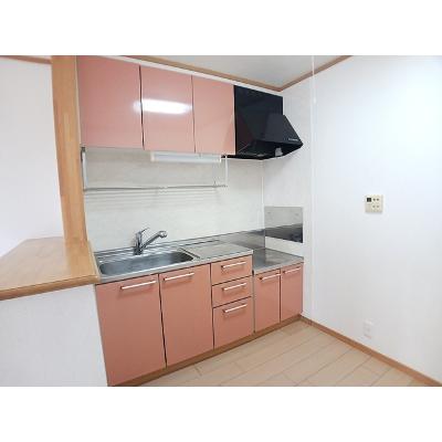 アンソレイエ 201【管理NO：1-012623001-02010】 ★家具家電は申し込み後に搬入します 2026年07月上旬入居可能の物件写真3
