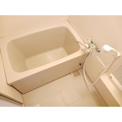 エレガンスながら 203【管理NO：1-004304801-02030】 ★家具家電は申し込み後に搬入しますの物件写真4