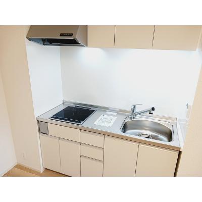 ノース　レジデンス 102【管理NO：1-028622201-01020】 ★家具家電は申し込み後に搬入しますの物件写真3