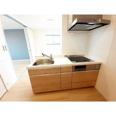 セシル 206【管理NO：1-027477501-02050】 ★家具家電は申し込み後に搬入しますの物件写真3