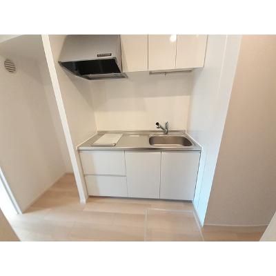 シェーネ 102【管理NO：1-027248201-01020】 ★家具家電は申し込み後に搬入しますの物件写真3
