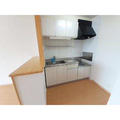 サン　ソレーユ 201【管理NO：1-016114401-02010】 ★家具家電は申し込み後に搬入しますの物件写真3