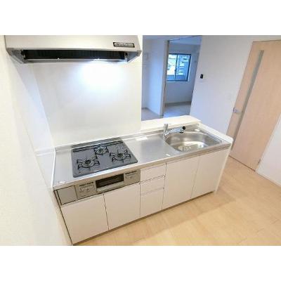 ボンダイⅠ 203【管理NO：1-022829401-02030】 ★家具家電は申し込み後に搬入しますの物件写真3