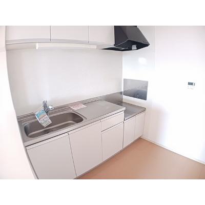 ムーンライト・ガーデン 205【管理NO：1-018988701-02040】 ★家具家電は申し込み後に搬入しますの物件写真3