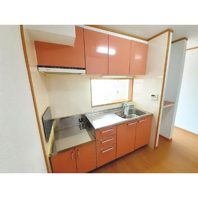 アヴニール　エテルネルＣ 203【管理NO：1-012738403-02030】 ★家具家電は申し込み後に搬入しますの物件写真3