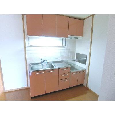 メゾン・アルモニー 101【管理NO：1-012450601-01010】 ★家具家電は申し込み後に搬入しますの物件写真3