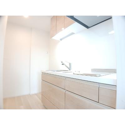 アイリス 106【管理NO：1-027916301-01050】 ★家具家電は申し込み後に搬入します★の物件写真3