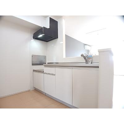 サピーⅢ 202【管理NO：1-018708903-02020】 ★家具家電は申し込み後に搬入します★の物件写真3