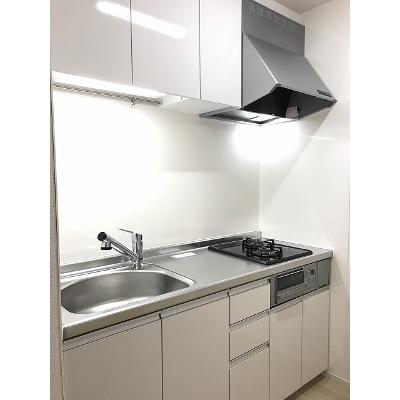ミントベリー 102【管理NO：1-025620001-01020】 ★家具家電は申し込み後に搬入しますの物件写真3