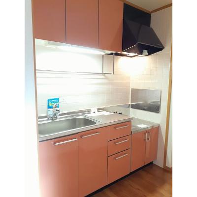 サンリッツ高宮Ｂ 303【管理NO：1-012347901-03030】 ★家具家電は申し込み後に搬入します★の物件写真3