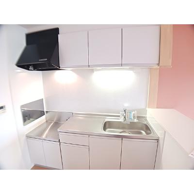 バルサ　デ　Ｙ．Ｎ 203【管理NO：1-018997201-02030】 ★家具家電は申し込み後に搬入します★の物件写真3
