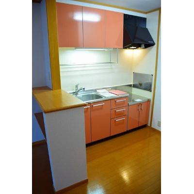 エクセランＡ 203【管理NO：1-012931401-02030】 ★家具家電は申し込み後に搬入します 2026年07月下旬入居可能の物件写真3