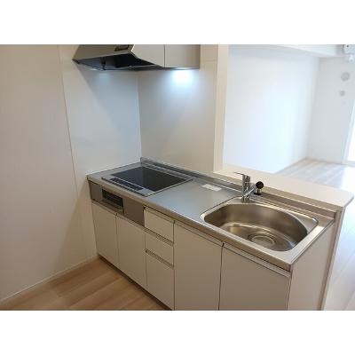 ロイヤルホープ 102【管理NO：1-028377001-01020】 ★家具家電は申し込み後に搬入します★の物件写真3