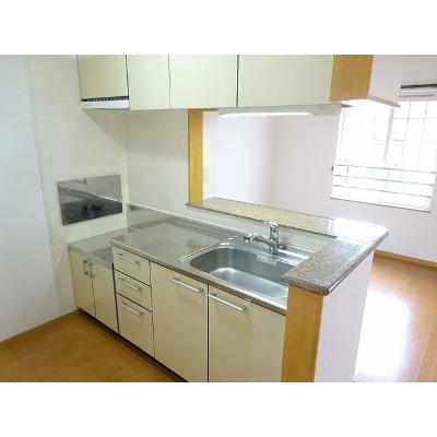 ピクシー　ヒルズ　Ｂ 203【管理NO：1-013241002-02030】 ★家具家電は申し込み後に搬入しますの物件写真3