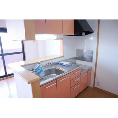 グラン　フォンテ－ヌ 303【管理NO：1-012026001-03030】 ★家具家電は申し込み後に搬入しますの物件写真3