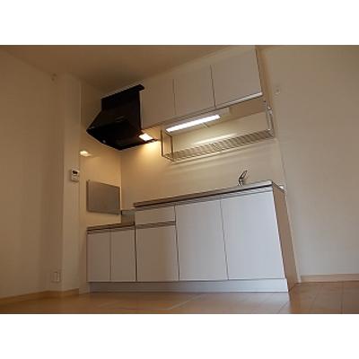 ウェルス　ガーデンⅡ 101【管理NO：1-015660502-01010】 2026年06月下旬入居可能の物件写真3