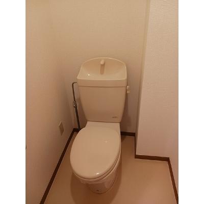 ヴィア・ラッテア 202【管理NO：1-010691101-02020】 ★家具家電は申し込み後に搬入します★の物件写真5