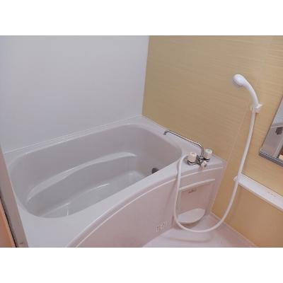 コモド・ジャルダン 202【管理NO：1-016568801-02020】 ★家具家電は申し込み後に搬入します★の物件写真4