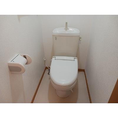 サンシャインヴィラⅡ 201【管理NO：1-014339701-02010】 ★家具家電は申し込み後に搬入しますの物件写真5
