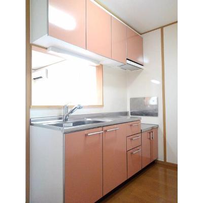 オビー・ロードⅡ 201【管理NO：1-012990901-02010】 ★家具家電は申し込み後に搬入しますの物件写真3