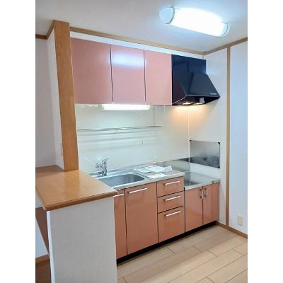 シュープリーム　Ａ棟 205【管理NO：1-012669801-02040】 ★家具家電は申し込み後に搬入します★の物件写真3