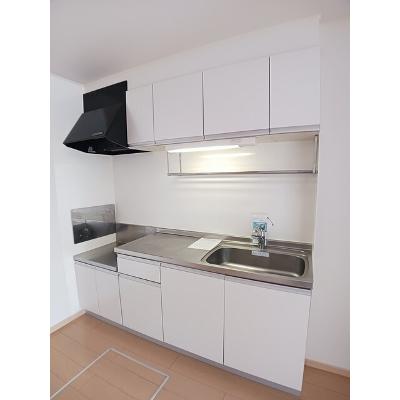 ファミリータイズⅡ 101【管理NO：1-016131502-01010】 ★家具家電は申し込み後に搬入します★の物件写真3