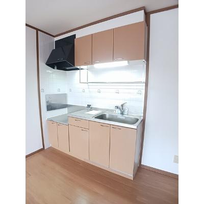 シャン・ド・フルール 202【管理NO：1-010971701-02020】 ★家具家電は申し込み後に搬入しますの物件写真3