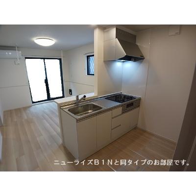 セレスティアⅡ 103【管理NO：1-028261102-01030】 ★家具家電は申し込み後に搬入します 2026年08月下旬入居可能の物件写真3