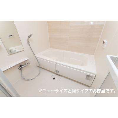 セイバリー　プリムローズ　Ⅱ 206【管理NO：1-026994901-02060】 ★家具家電は申し込み後に搬入します 2026年09月下旬入居可能の物件写真4