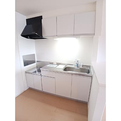 Ｒｉｒｉａ　Ⅶ　Ⅴ 204【管理NO：1-019529201-02040】 ★家具家電は申し込み後に搬入しますの物件写真3