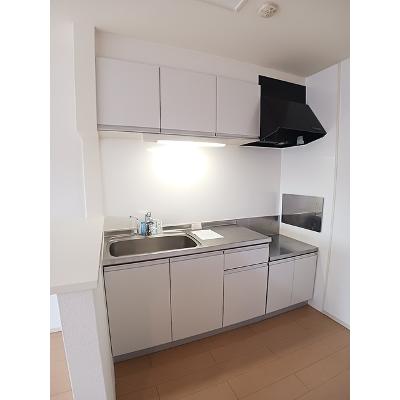 Ｒｉｒｉａ　Ⅶ　Ⅴ 201【管理NO：1-019529201-02010】 ★家具家電は申し込み後に搬入しますの物件写真3