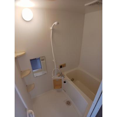 カルフールⅡ 102【管理NO：1-010872401-01020】 ★家具家電は申し込み後に搬入しますの物件写真4