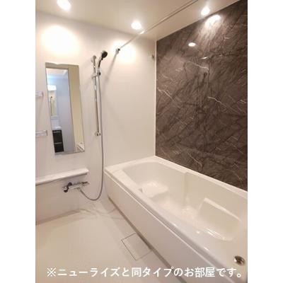 シンシア甲南Ⅱ 103【管理NO：1-027678802-01030】 ★家具家電は申し込み後に搬入します 2026年11月下旬入居可能の物件写真4